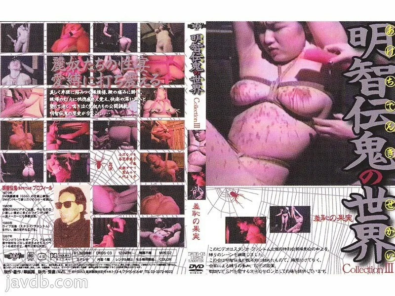 DKOS-03 World of Akechi Denki Collection 3 Fruit of Shame